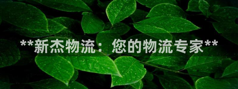 28圈推广链接是多少