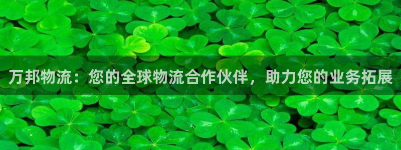 28圈辅助