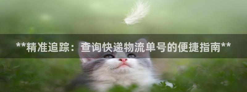 28圈注册条件：**精准追踪：查询快