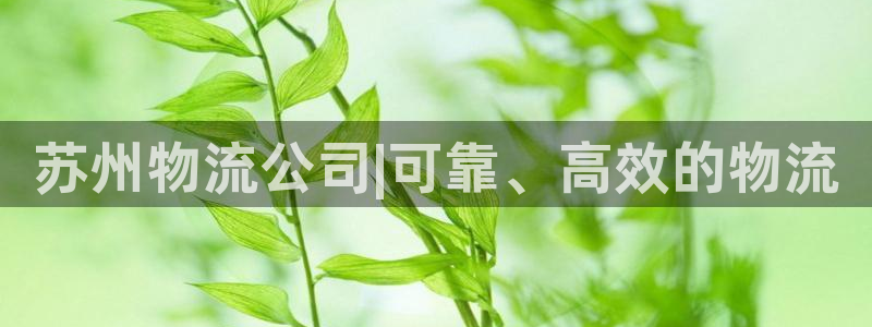 28圈官网版2024
