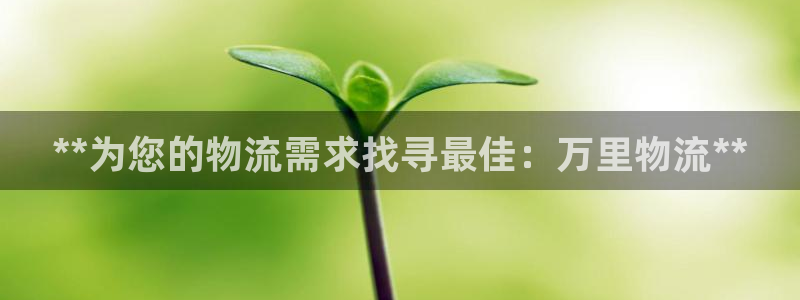 28圈模拟