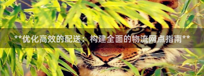28圈ip被限制怎么解决
