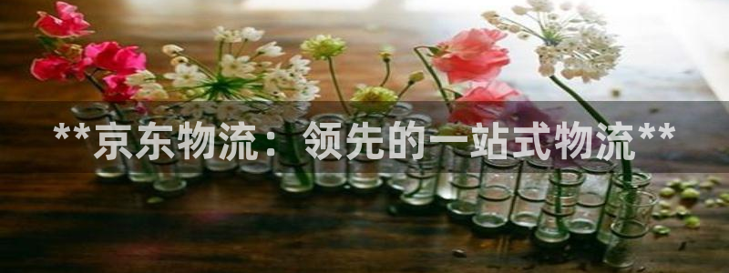 28圈提现不到账