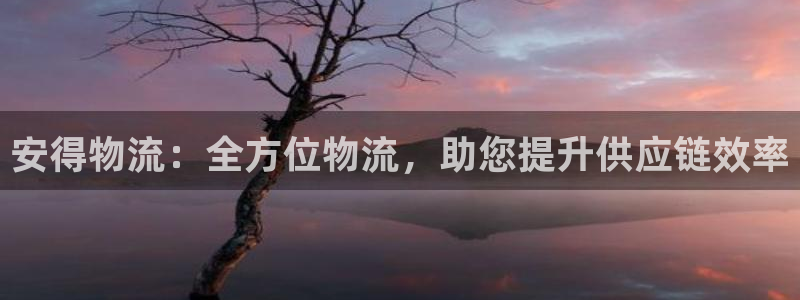 28圈怎么注册下载：安得物流：全方位