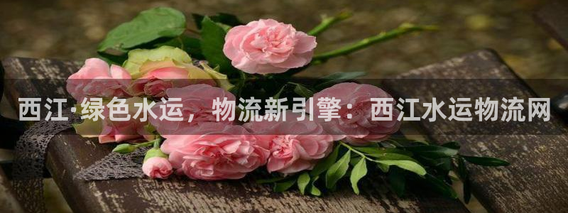 pc28圈怎么注册：西江·绿色水运，
