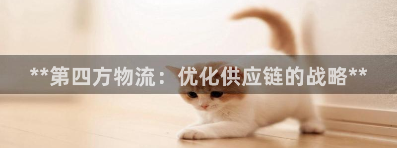 28圈注册流程：**第四方物流：优化