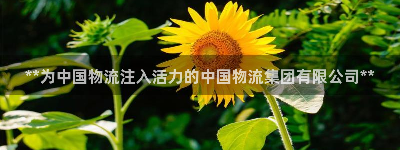 28圈链接多少：**为中国物流注入活