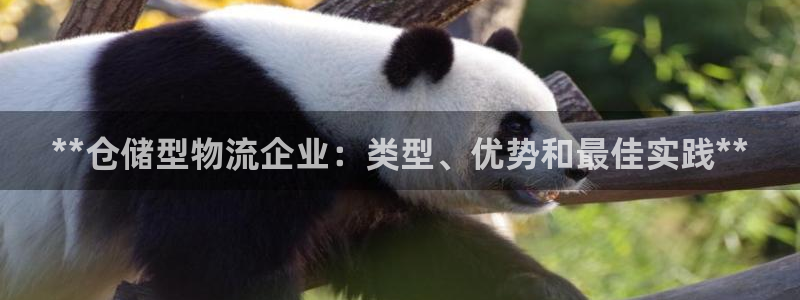 28圈官网版下载