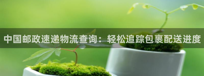 28圈app赢了500万