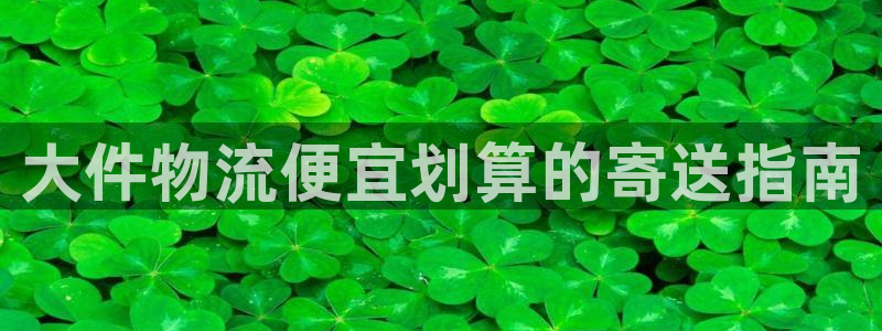 28圈官网版2024