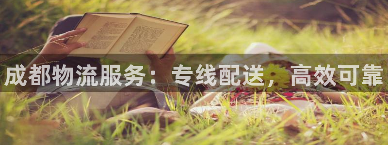 28圈分分28输了能不能退：成都物流