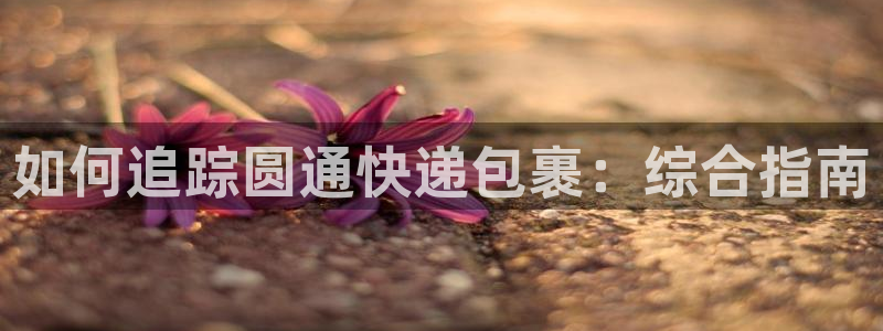 28圈注册：如何追踪圆通快递包裹：综