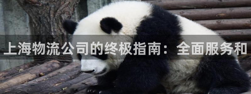 28圈ccm官网版：上海物流公司的终