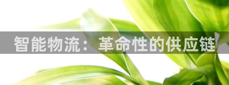 28圈加拿大最新版