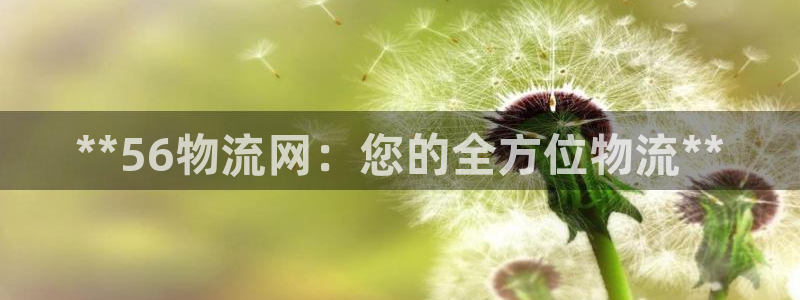 28圈注册网站链接：**56物流网：