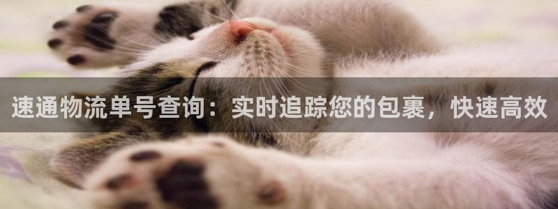 28圈加拿大下载