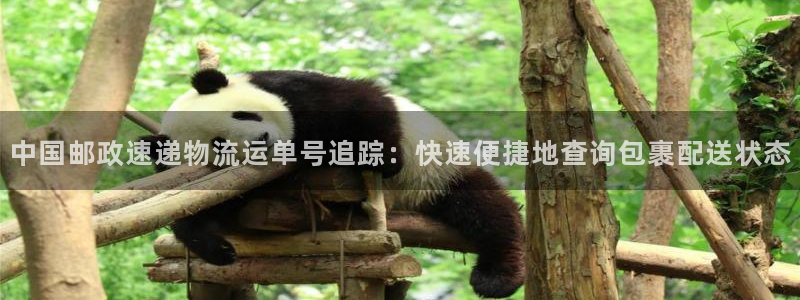 28圈激活码