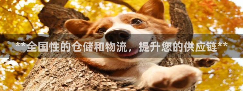 28圈能退款吗