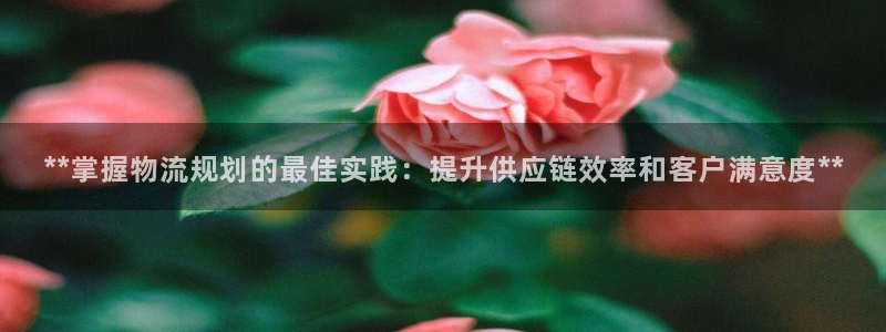 28圈连接