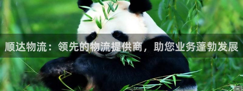 28圈怎么下载不了