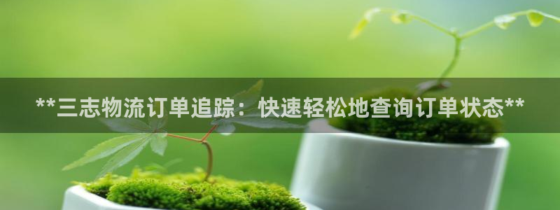 28圈加拿大2.8预测在线预测