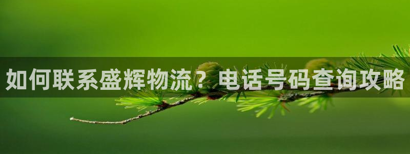28圈.ccm