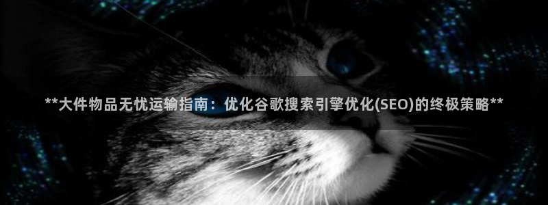 28圈体育下载