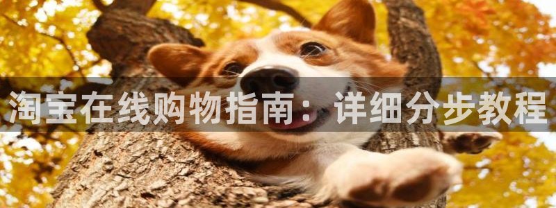 加拿大28圈是什么