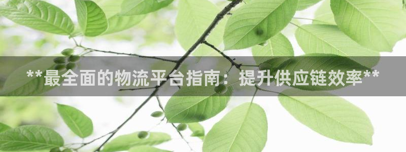 28圈注册地址：**最全面的物流平台