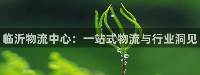 28圈官网版下载：临沂物流中心：一站