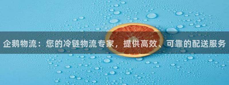 28圈官网预测
