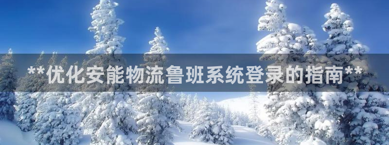 28圈网站怎么注册：**优化安能物流