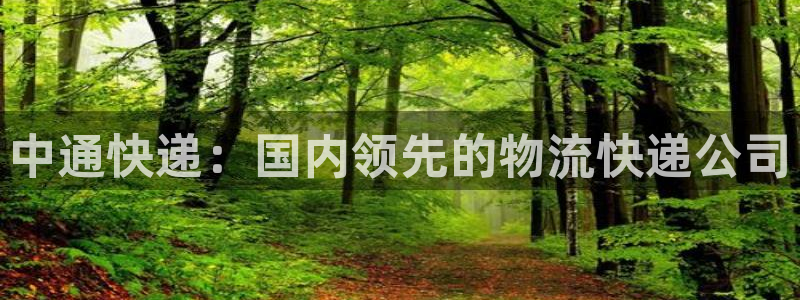 28圈软件堵什么反什么