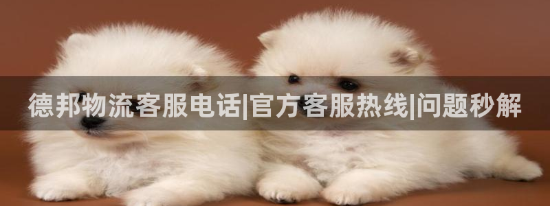 28圈流水怎么算