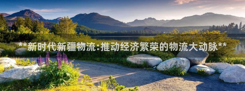 28圈加拿大6.0