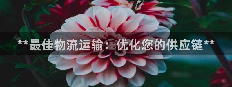 28圈注册网站APP：**最佳物流运