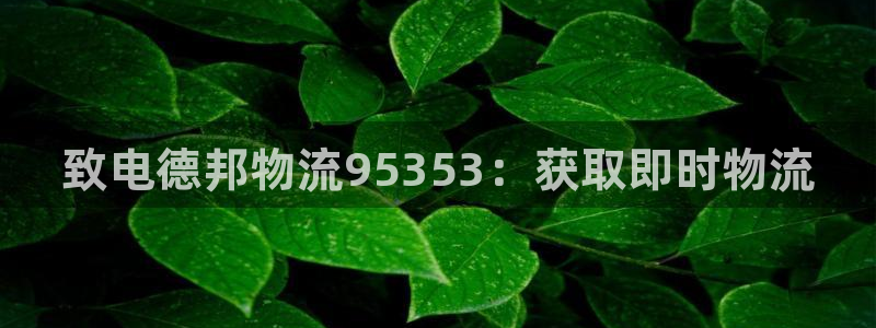 28圈自行车图片