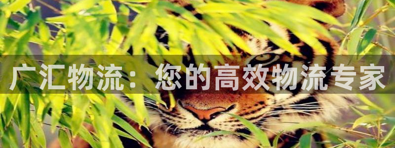 28圈.ccmapp