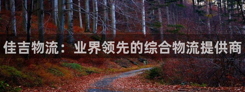 28圈加拿大能提现吗
