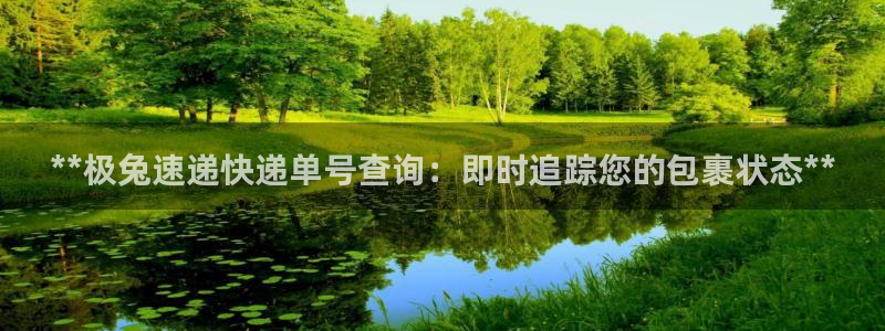 28圈提现不到账