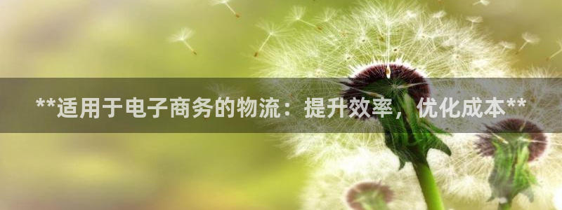 自行车28圈是什么意思：**适用于电