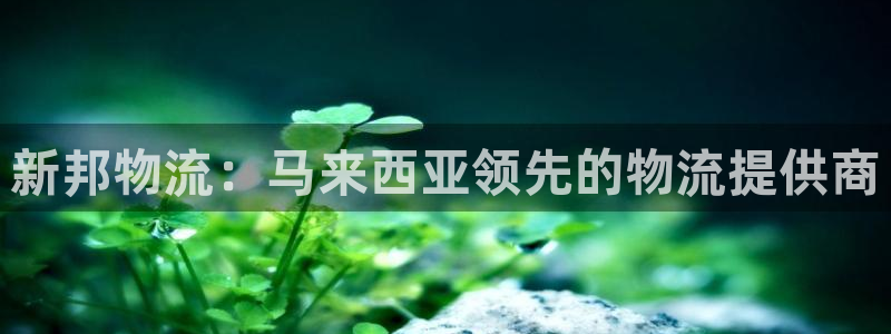28圈口戒指是多大