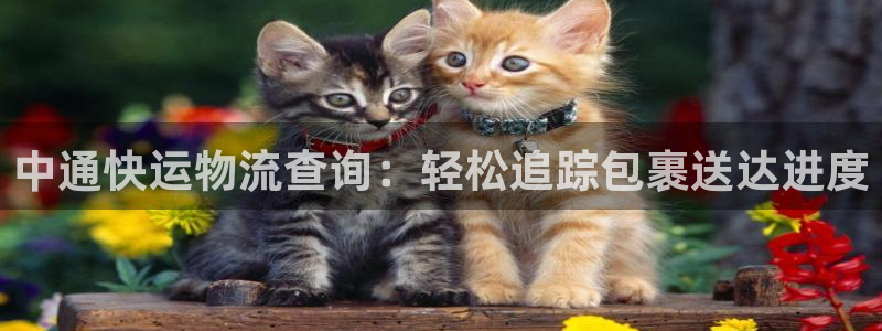 28圈注册二维码：中通快运物流查询：