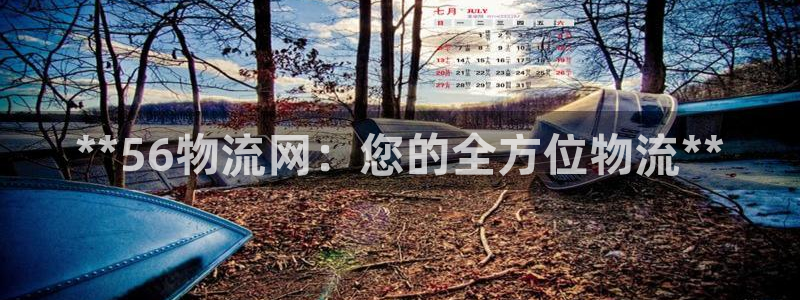 28圈黑款：**56物流网：您的全方