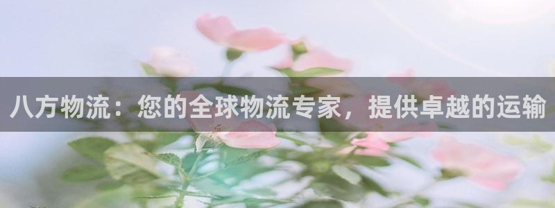 28圈充值不处理怎么办：八方物流：您