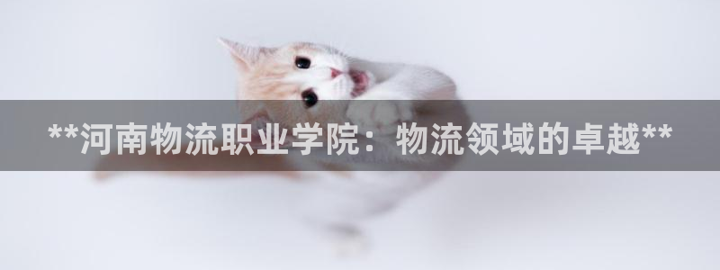 28圈加拿大怎么玩