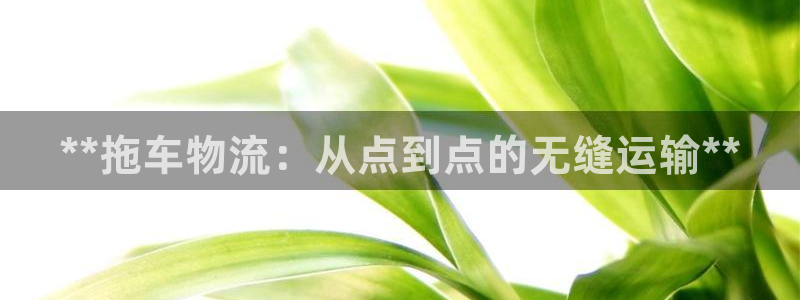 28圈cn