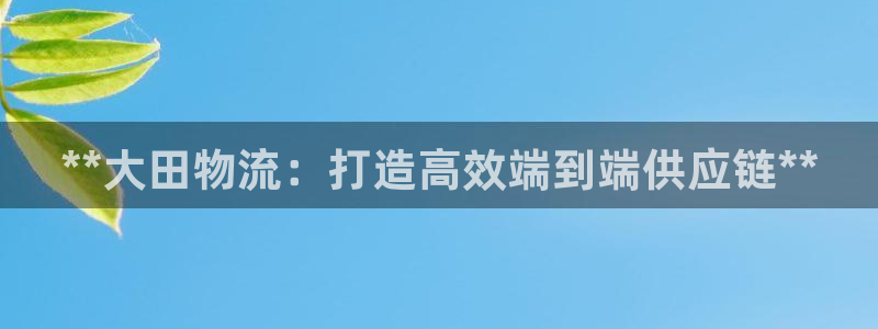 28圈注册二维码：**大田物流：打造