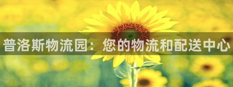 28圈注册网站加拿大：普洛斯物流园：