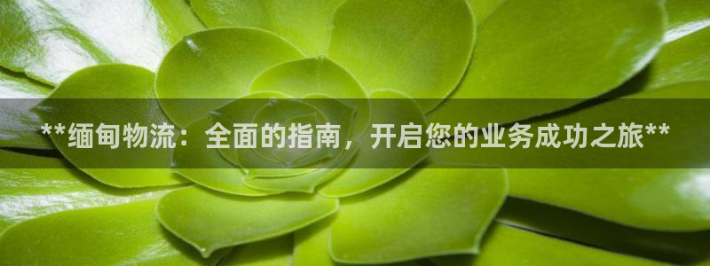28圈游戏官网版：**缅甸物流：全面